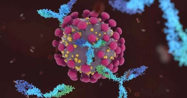 Η γονιδιωματική παρακολούθηση του κορωνοϊού δείχνει πώς εξαπλώνεται στην κοινότητα